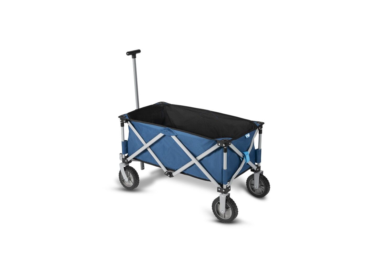 Strandbuggy, Bollerwagen Trucker – Bild 1